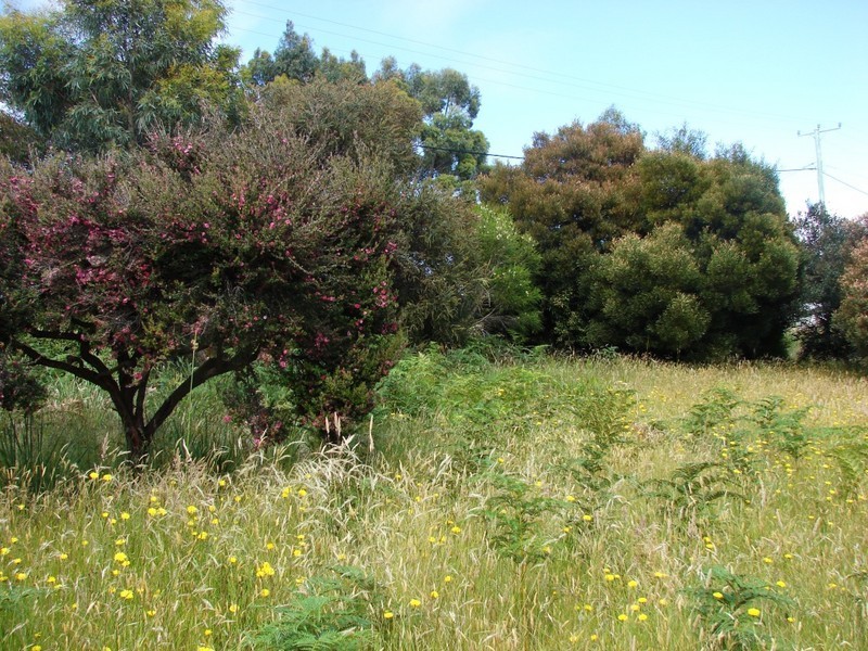 4 Skeggs Avenue, White Beach TAS 7184