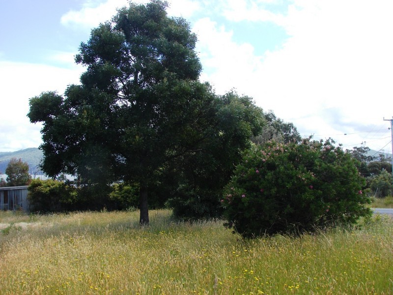 4 Skeggs Avenue, White Beach TAS 7184