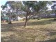 27 Gully Road, Dodges Ferry TAS 7173