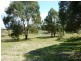 439 Old Forcett Road, Dodges Ferry TAS 7173
