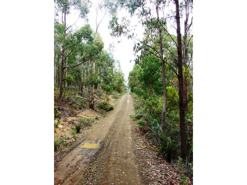 279 Kelletts Rd, Sloping Main TAS 7186