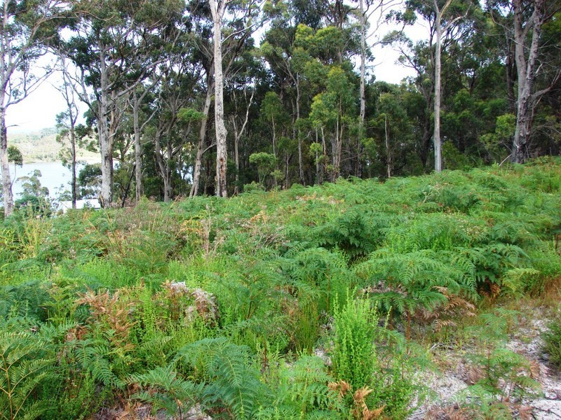 L7 Smith, Nubeena TAS 7184