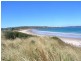 19 Petrel Street, Primrose Sands TAS 7173