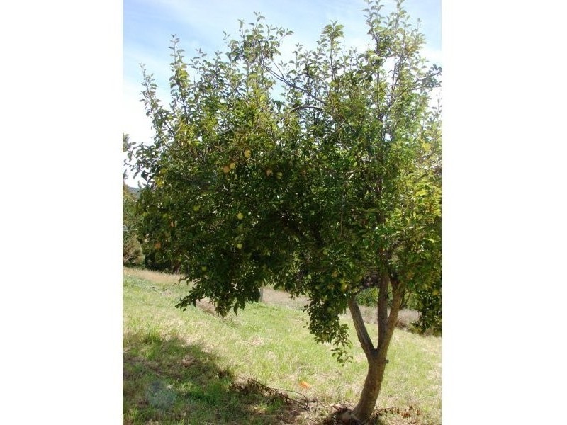 29 Main Road, Nubeena TAS 7184