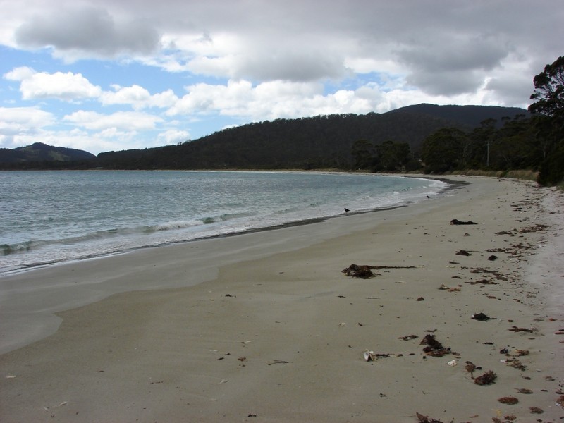 L2 White Beach rd, White Beach TAS 7184