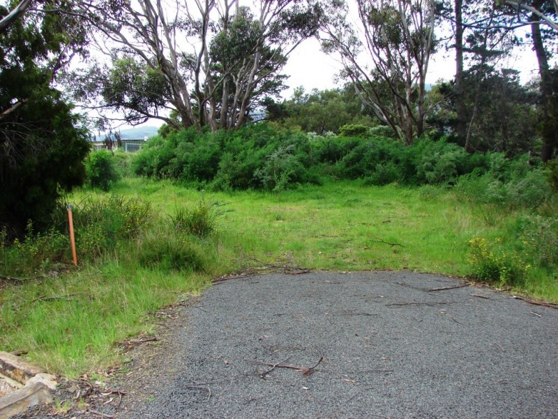 L1 Mola Crt (off Noyes rd), White Beach TAS 7184