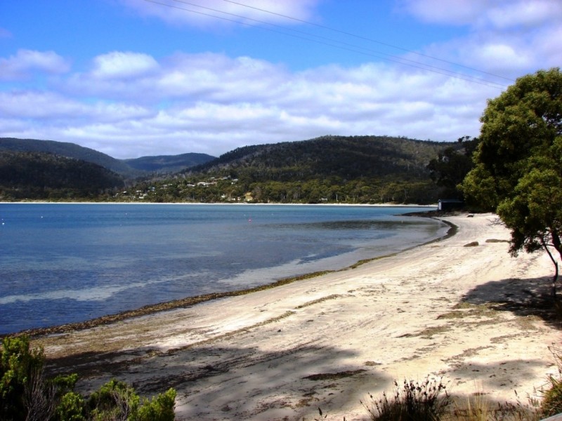L1 Mola Crt (off Noyes rd), White Beach TAS 7184