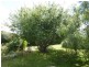 26 Seventh Avenue, Dodges Ferry TAS 7173