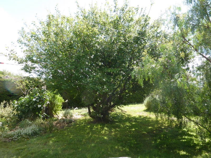 26 Seventh Avenue, Dodges Ferry TAS 7173