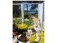 4 Illawong Drive, Port Arthur TAS 7182