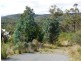 L3 Kerstan, White Beach TAS 7184