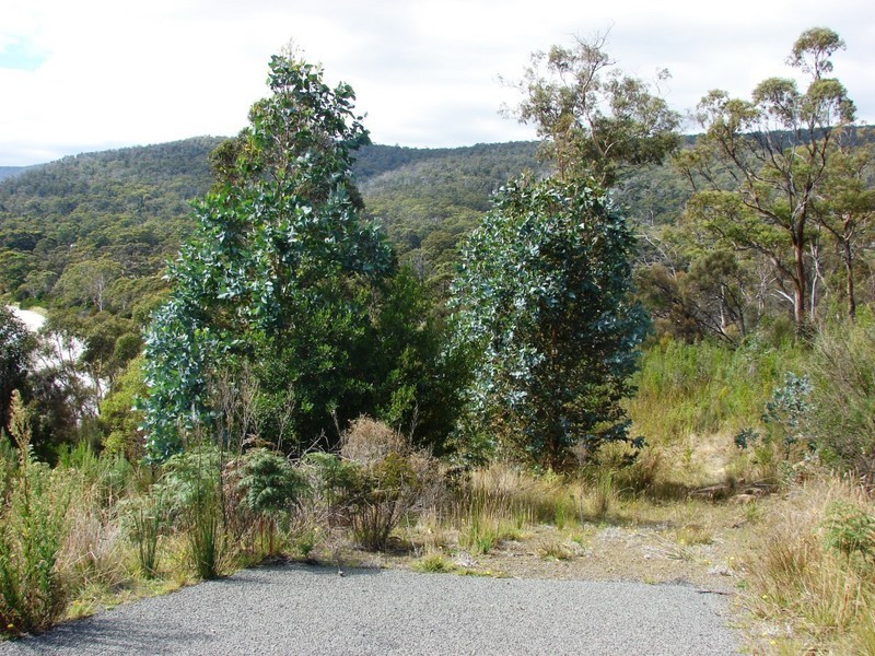 L3 Kerstan, White Beach TAS 7184