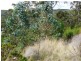 L4 Kerstan, White Beach TAS 7184