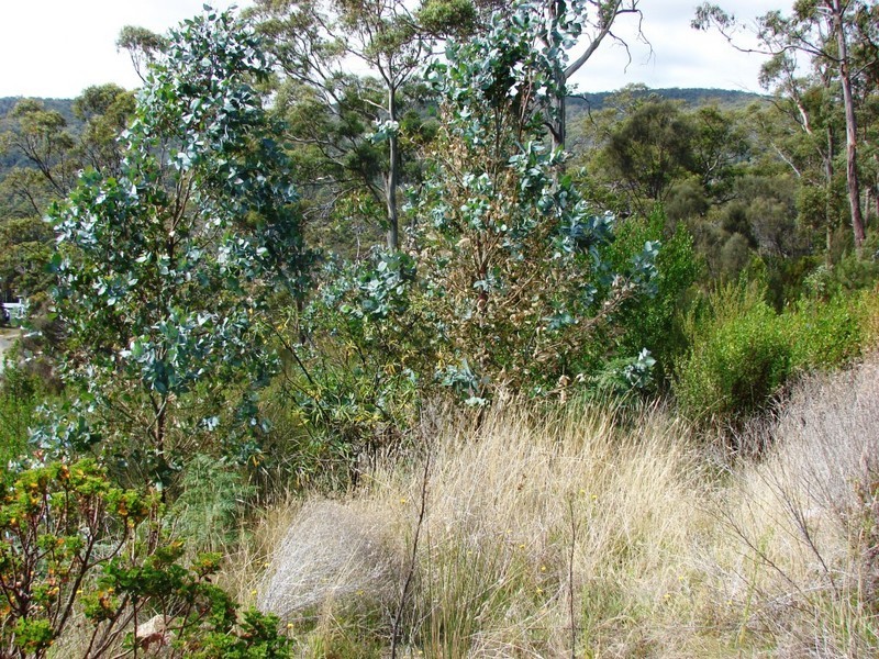 L4 Kerstan, White Beach TAS 7184