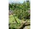 1564 Nubeena Road, Nubeena TAS 7184