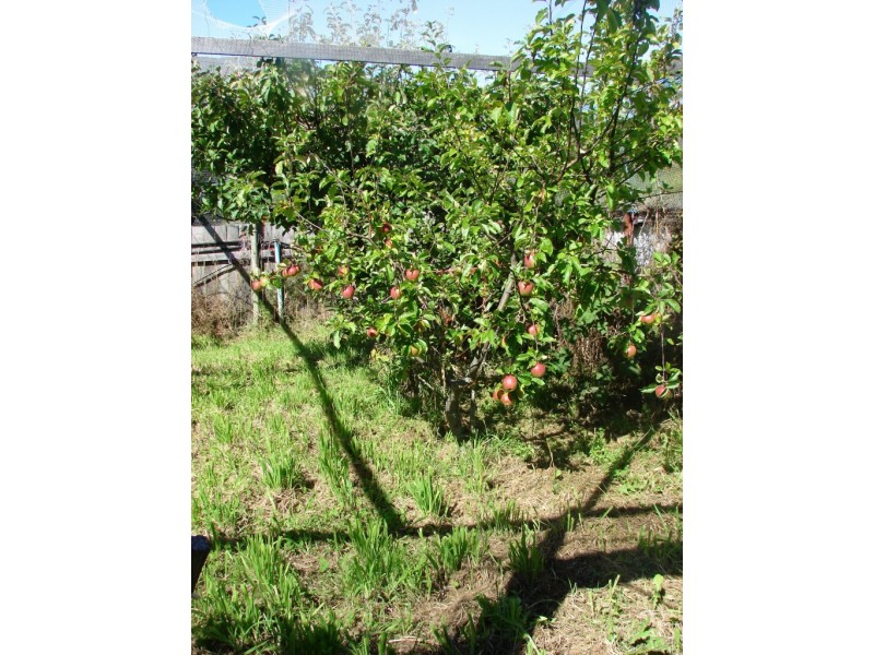 1564 Nubeena Road, Nubeena TAS 7184
