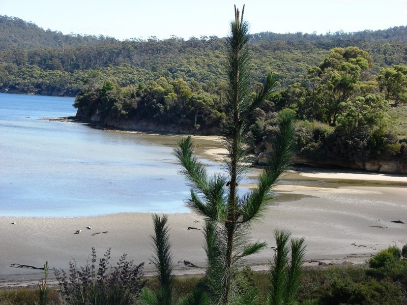 L2 1620 Nubeena Road, Nubeena TAS 7184