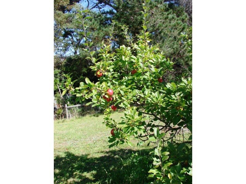 1620 Nubeena Road, Nubeena TAS 7184