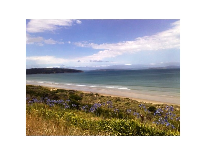 81  Carlton Beach Road, Dodges Ferry TAS 7173