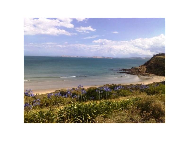 81  Carlton Beach Road, Dodges Ferry TAS 7173