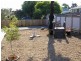 6 Webb Street, Dodges Ferry TAS 7173