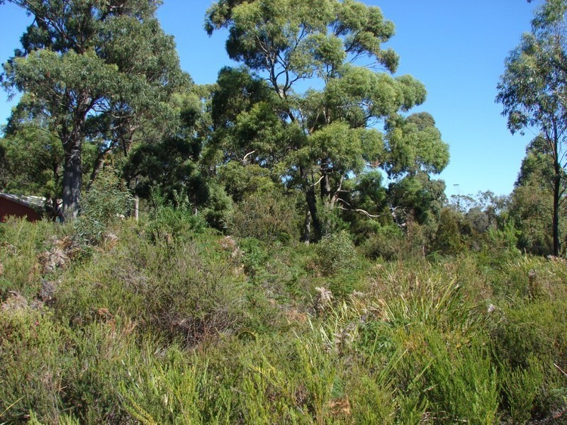 4 Lily, White Beach TAS 7184