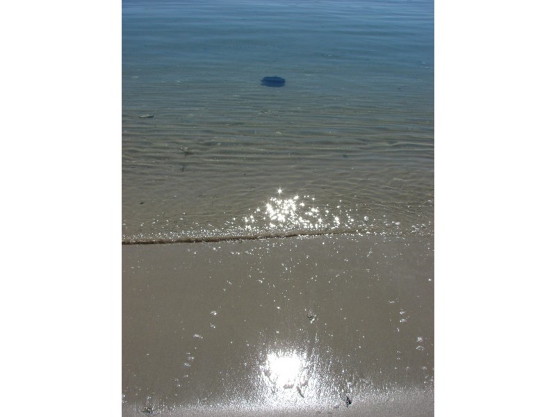 4 Lily, White Beach TAS 7184