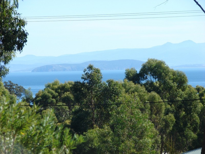 4 Lily, White Beach TAS 7184