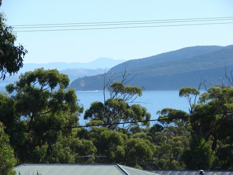 4 Lily, White Beach TAS 7184