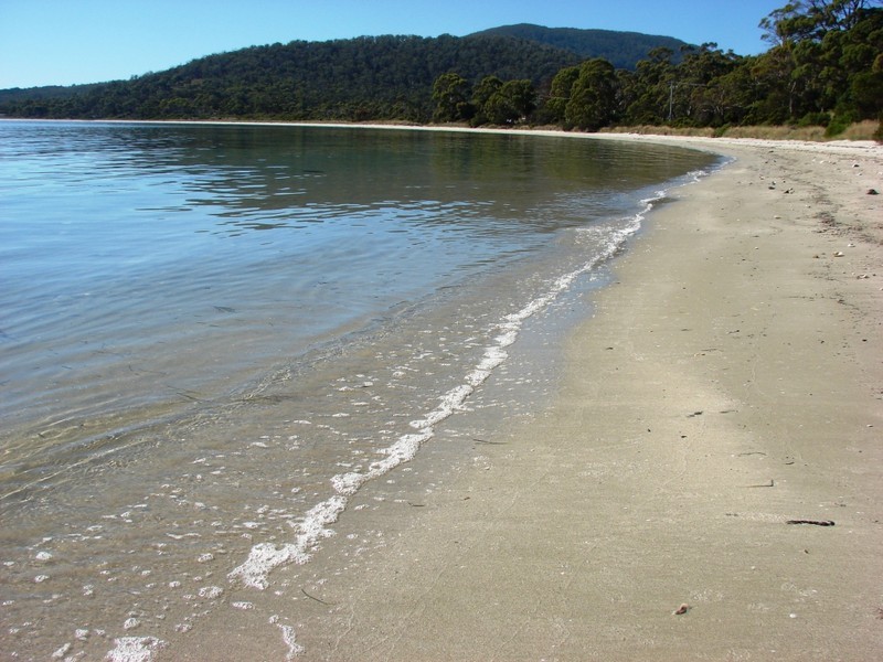 4 Lily, White Beach TAS 7184