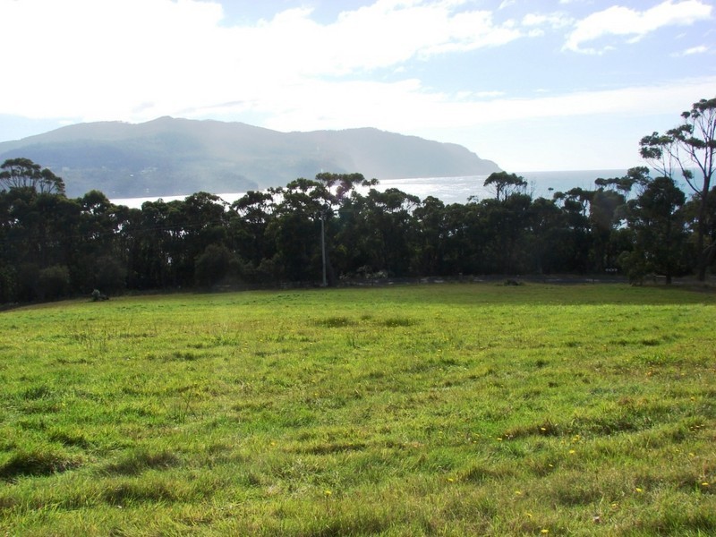 Lot 7 Blowhole Road, Eaglehawk Neck TAS 7179