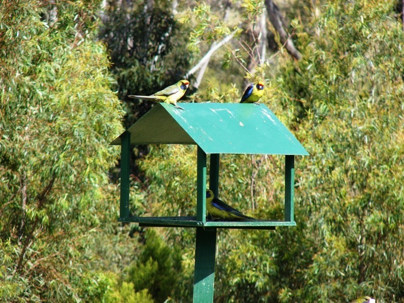 18 Greatbatch, White Beach TAS 7184