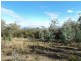 3 Grierson Drive, Forcett TAS 7173