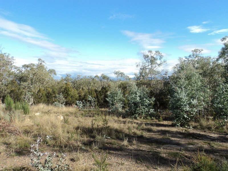 3 Grierson Drive, Forcett TAS 7173