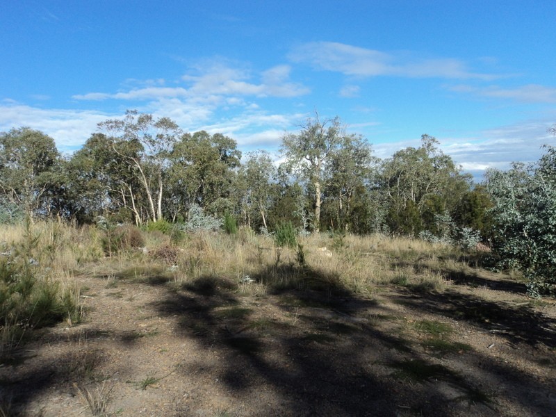 3 Grierson Drive, Forcett TAS 7173