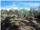 3 Grierson Drive, Forcett TAS 7173