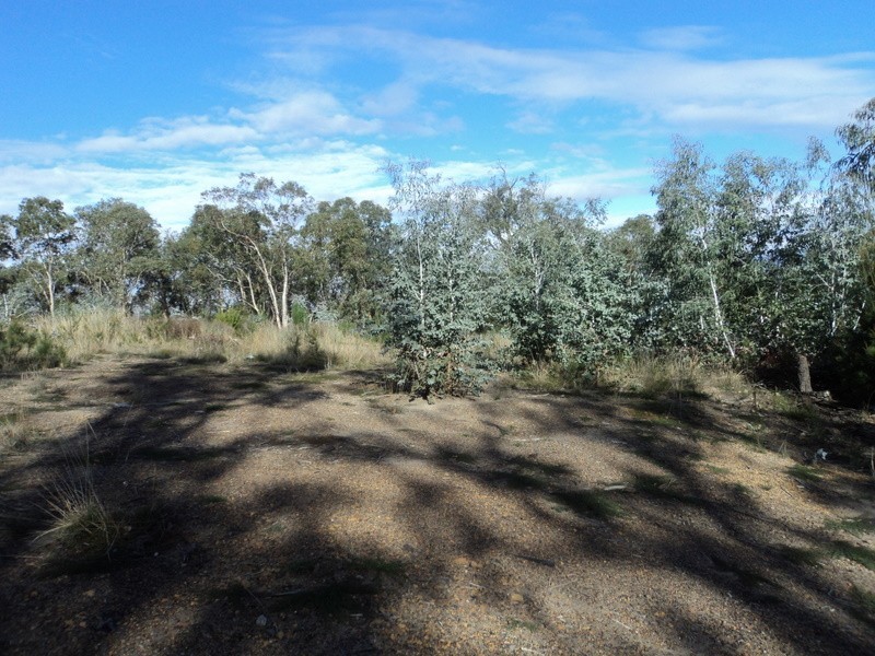 3 Grierson Drive, Forcett TAS 7173