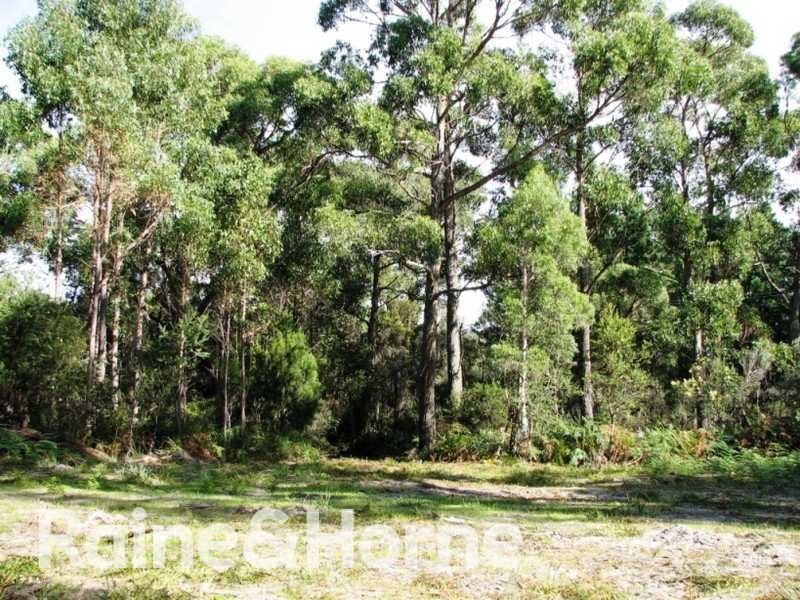 Lot 2 Sommers Bay Road, Murdunna TAS 7178