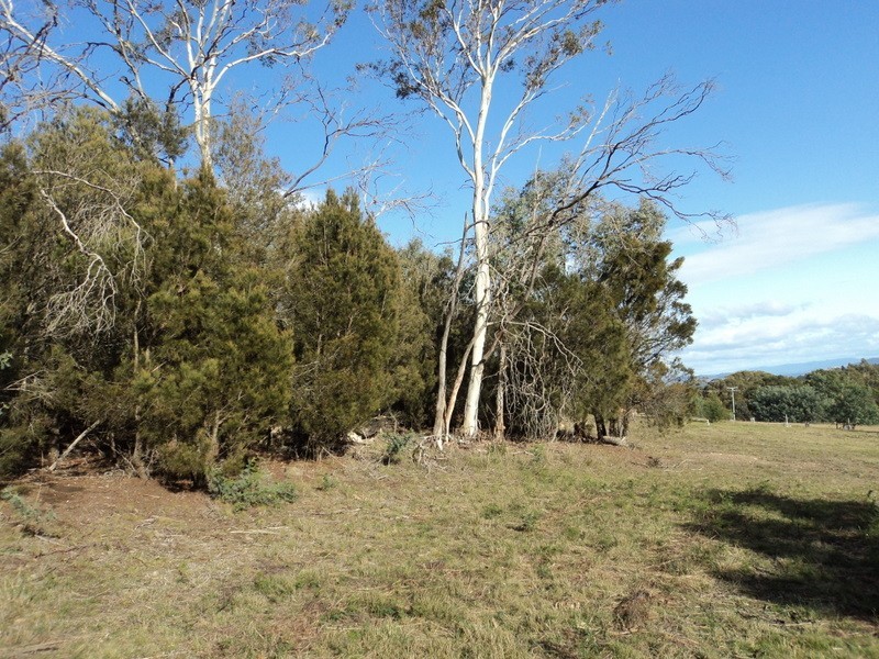 4 Grierson Drive, Forcett TAS 7173
