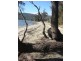 423 White Beach rd, White Beach TAS 7184