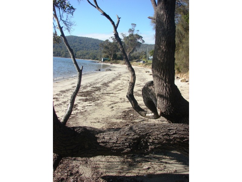 423 White Beach rd, White Beach TAS 7184