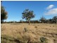 10746 Tasman Highway, Little Swanport TAS 7190