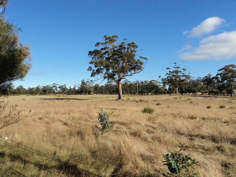 10746 Tasman Highway, Little Swanport TAS 7190