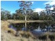 10746 Tasman Highway, Little Swanport TAS 7190