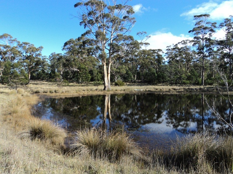 10746 Tasman Highway, Little Swanport TAS 7190