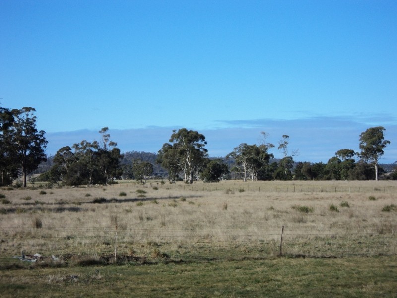 10746 Tasman Highway, Little Swanport TAS 7190
