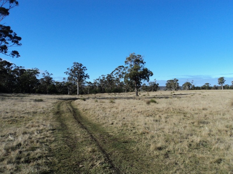 10746 Tasman Highway, Little Swanport TAS 7190