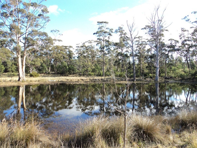 10746 Tasman Highway, Little Swanport TAS 7190