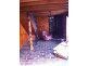20 Delmore Road, Forcett TAS 7173
