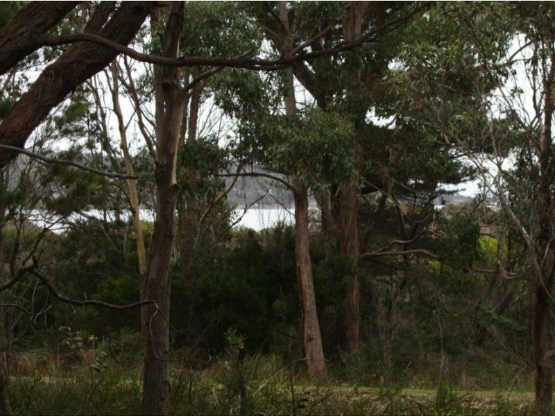 L2 Hardy’s Court, White Beach TAS 7184